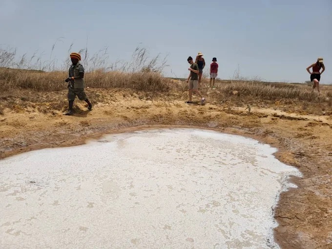 Au bord d'une saline
