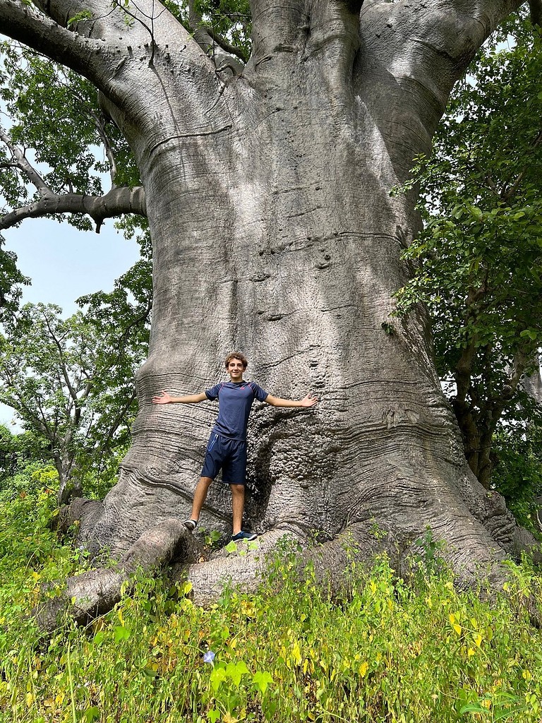 Au pied d'un baobab géant