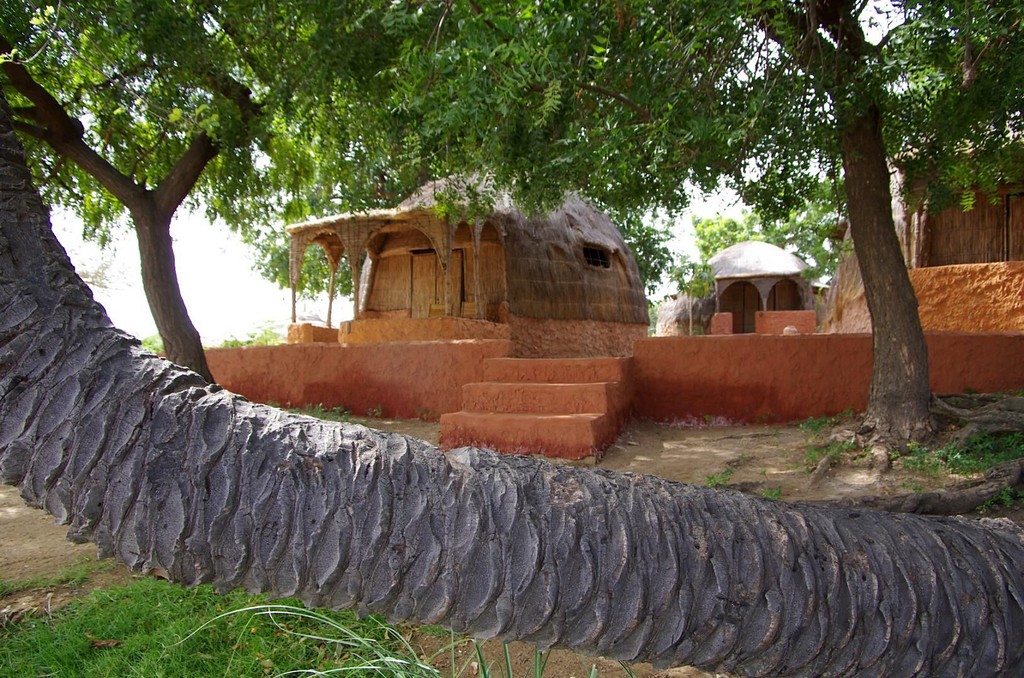 Case traditionnelle au pied d'un arbre