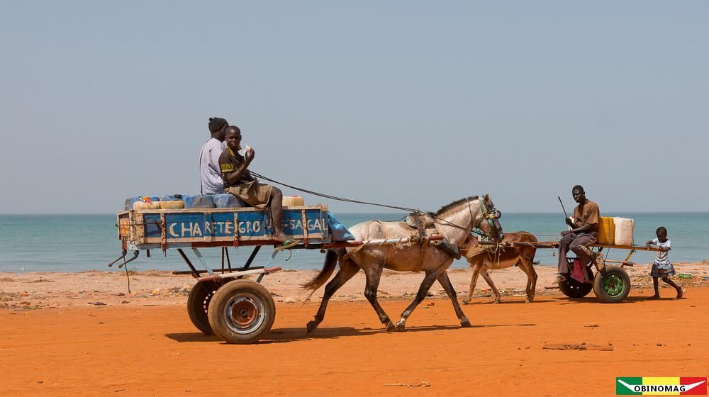 Une calèche sur la plage, près de Ndangane