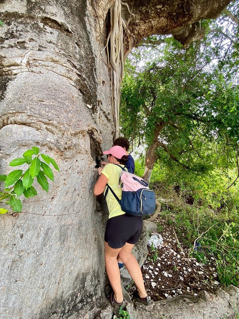 Une voyageuse contre le tronc d'un baobab