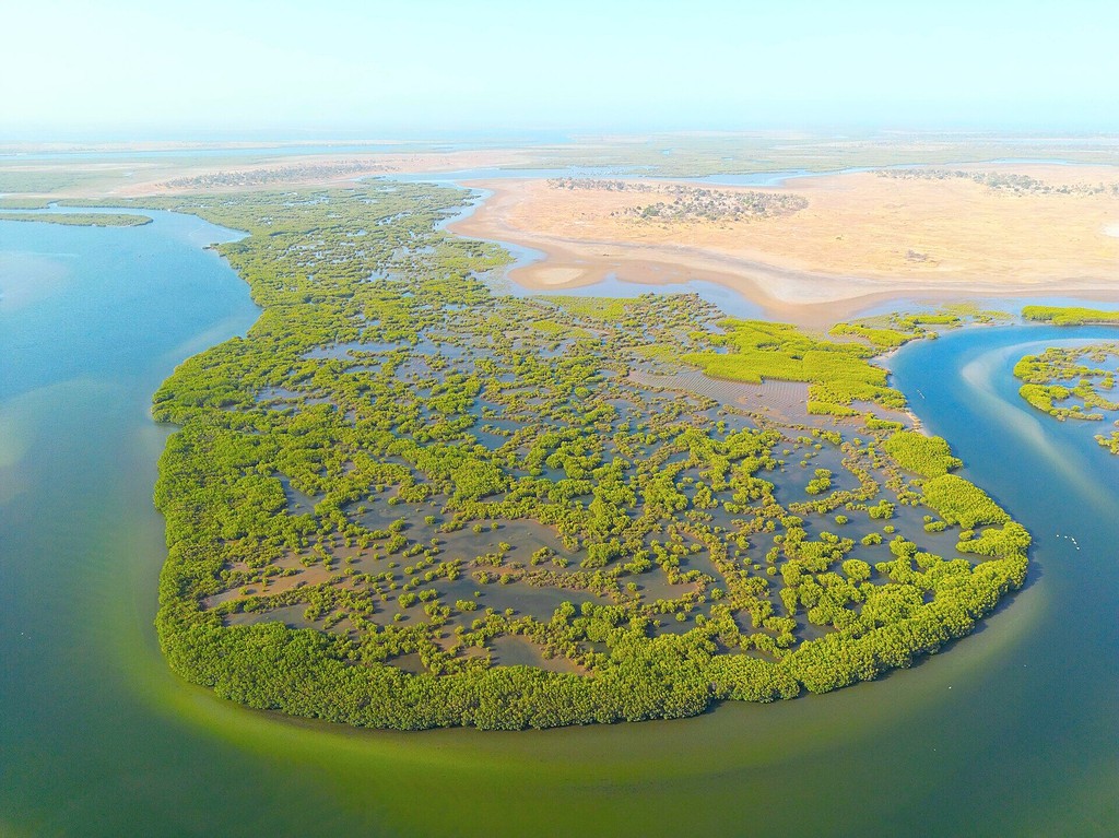 Une île du delta cernée par les bolongs