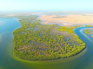 Une île du delta cernée par les bolongs