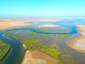 Méandres et mangrove du Sine Saloum vus du ciel