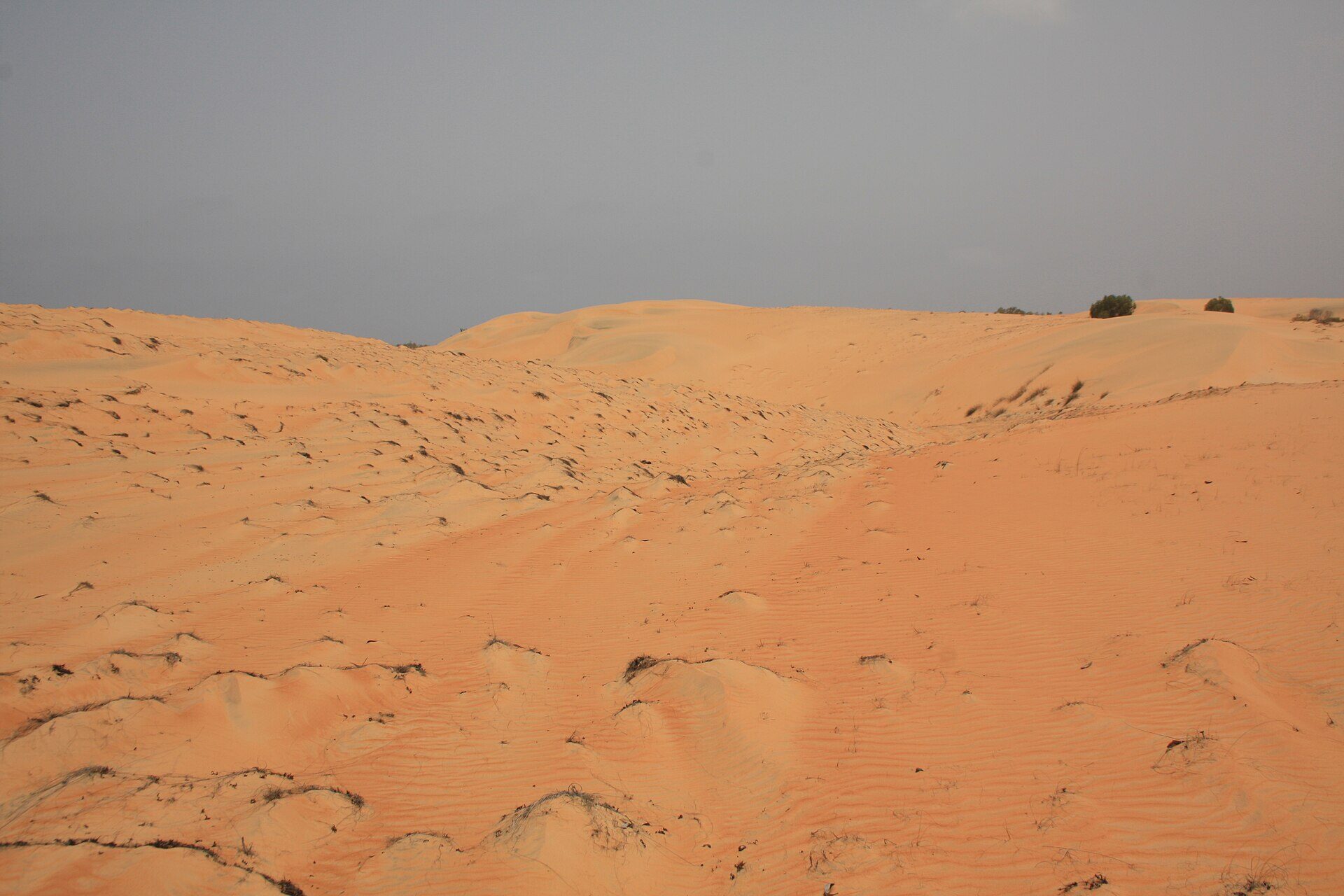 Les dunes du désert de Lompoul