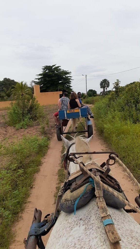 En calèche sur une piste de campagne