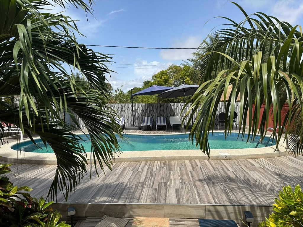 La piscine vue entre les palmiers