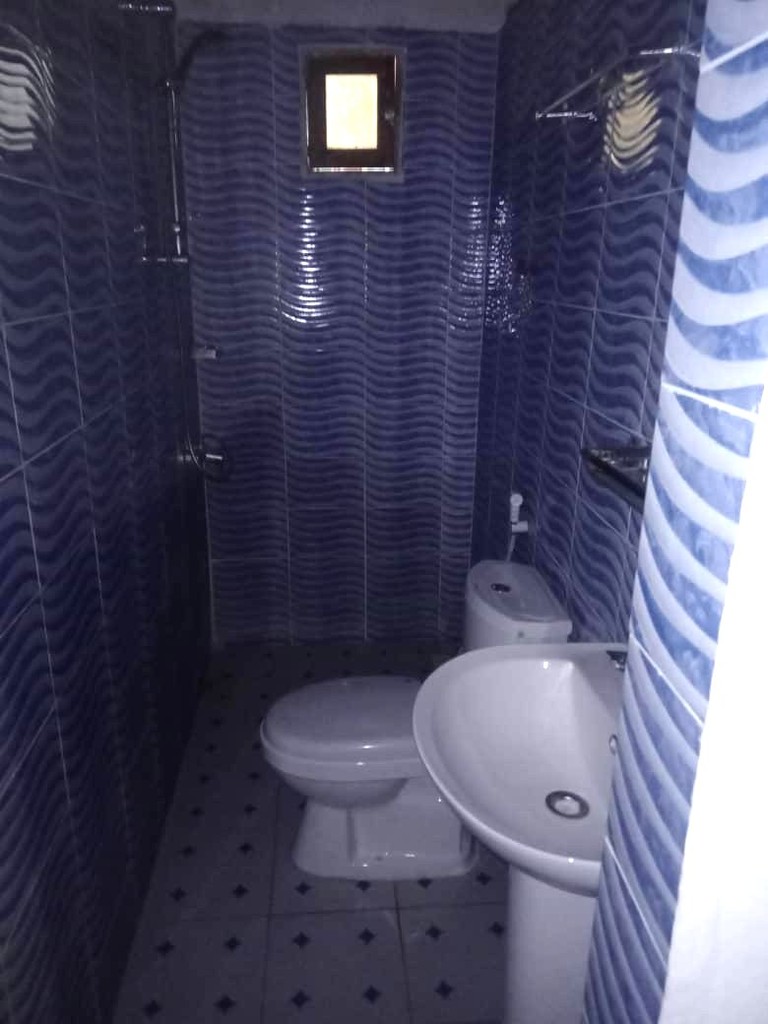Une salle de douche aux carreaux bleus