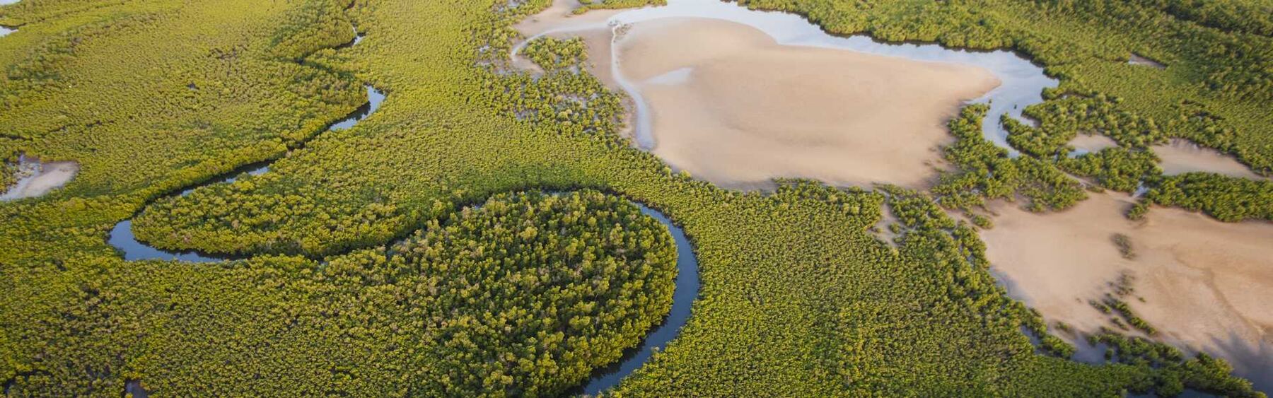 Vue aérienne des bolongs et de la mangrove