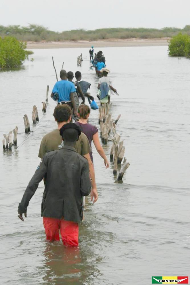 Marche dans l'eau des bolongs