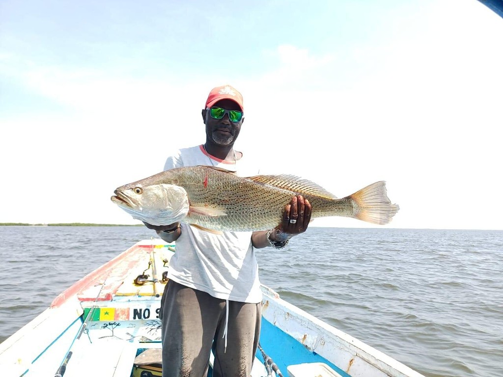 Belle prise à bord de la pirogue