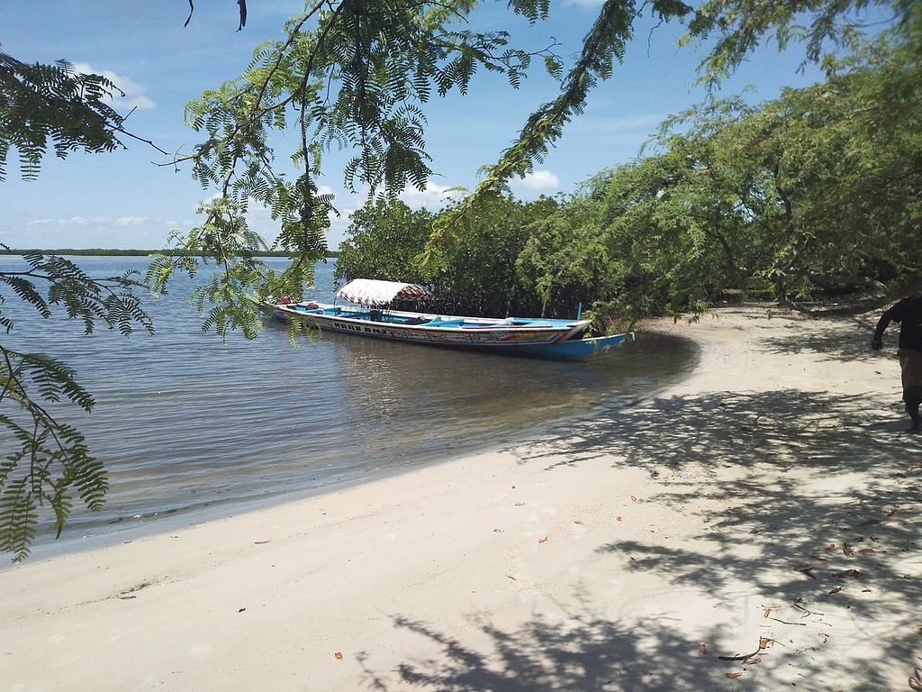 La pirogue amarrée à l'ombre des arbres, sur une plage