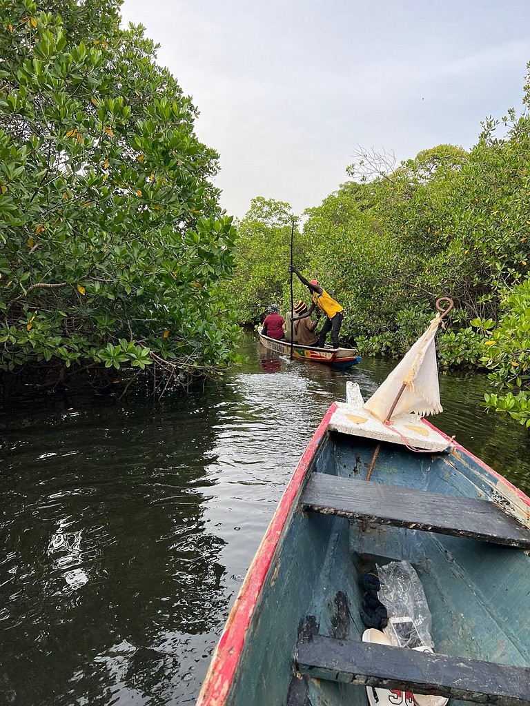 Une pirogue dans un bolong, entre les palétuviers