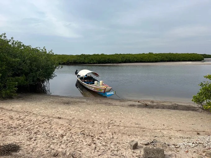 Une pirogue dans une crique