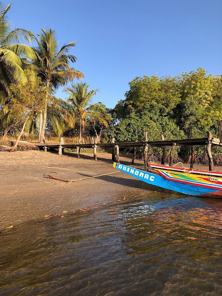 La pirogue Obinomag au bord de l'eau, sous les cocotiers