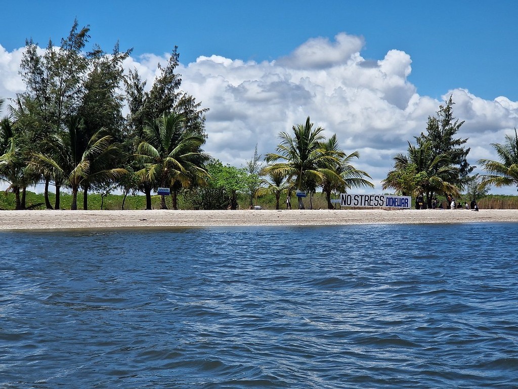 Une plage bordée de cocotiers, vue de la pirogue