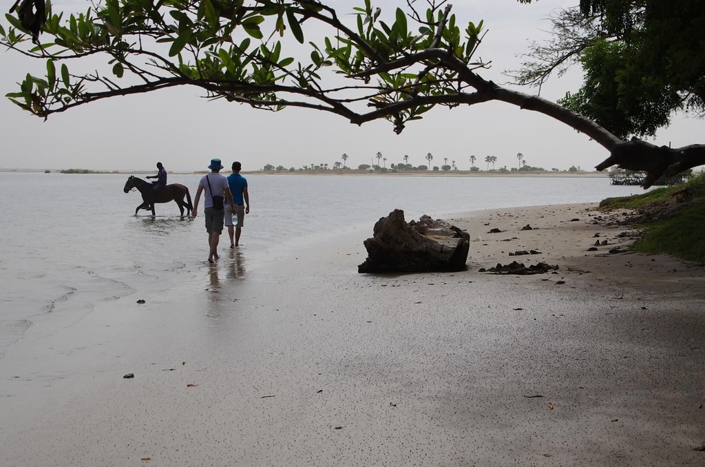 Plage du delta à marée basse