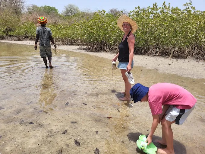 Ramassage de coquillages dans l'eau peu profonde