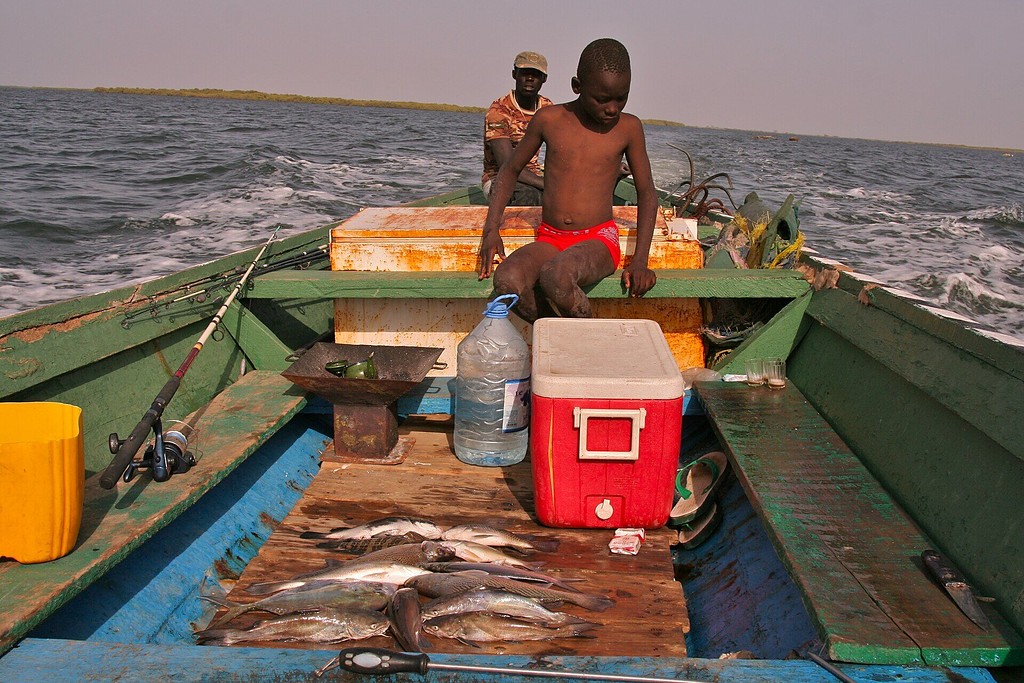 Retour de pêche dans le Sine Saloum