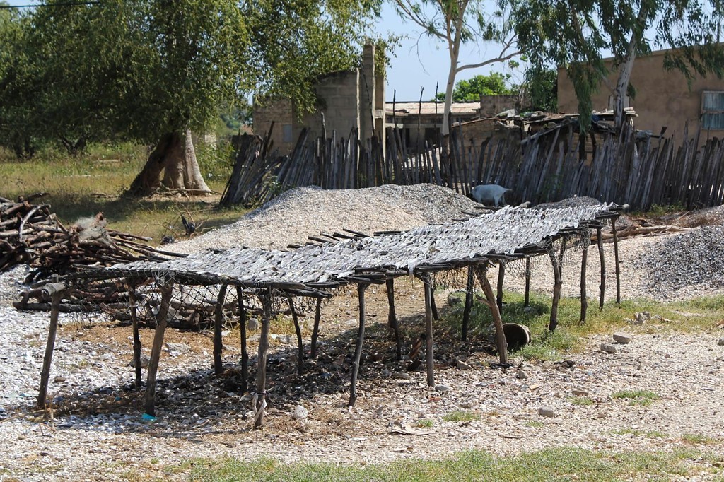 Séchage du poisson dans un village de pêcheurs