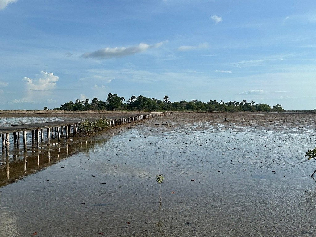 La vasière à marée basse et sa passerelle